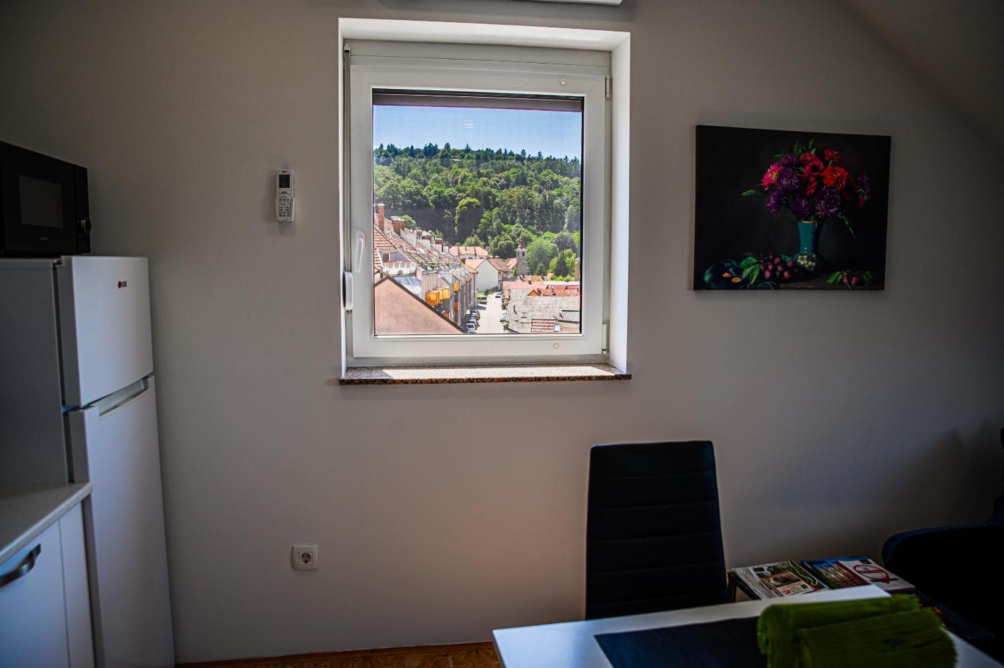 Apartment A1 ليوبليانا الغرفة الصورة